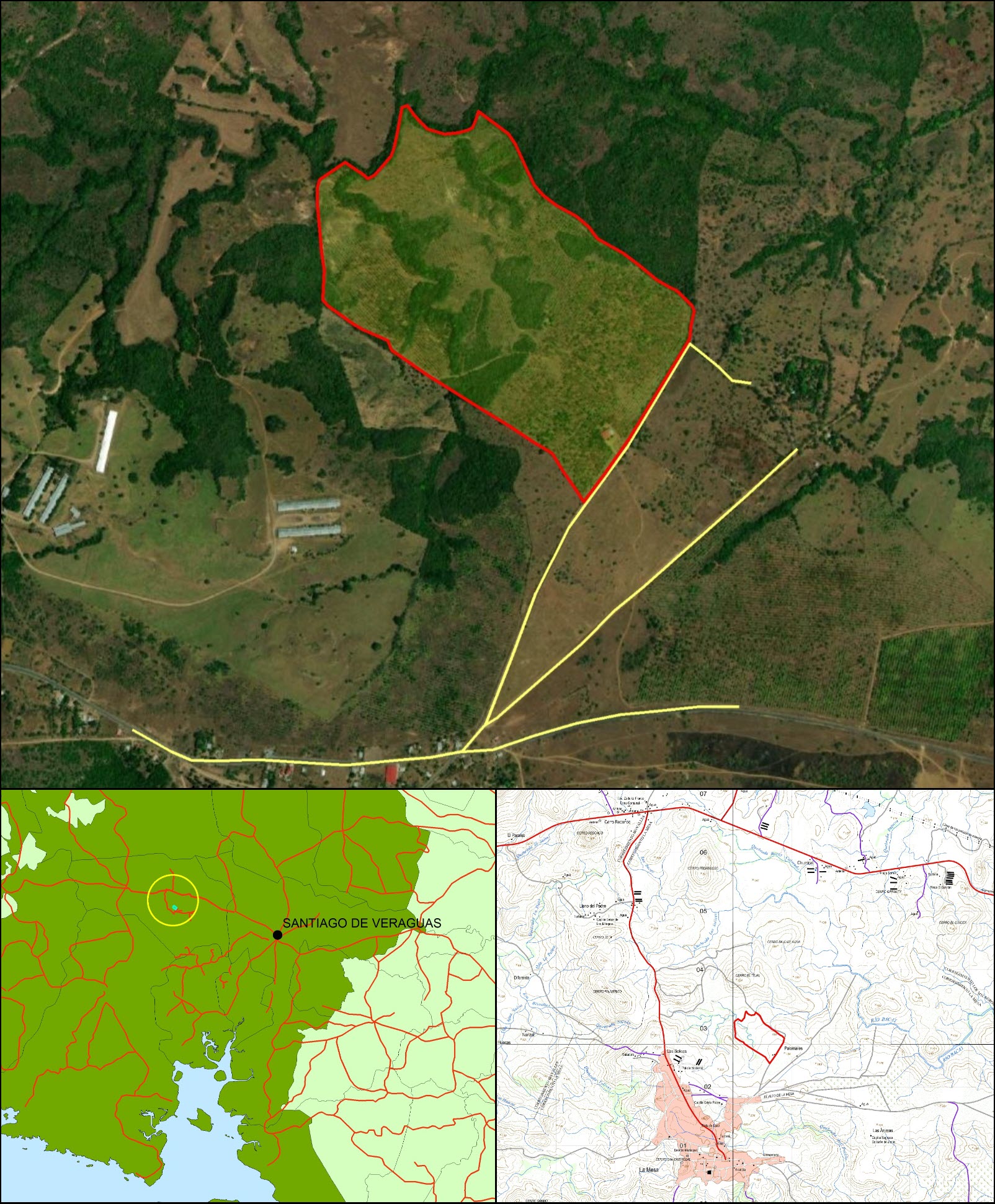 Imagen 6 – composición vertical de El Tejal